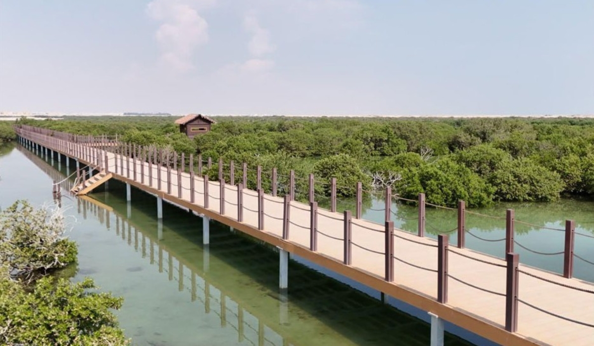 Half of Qatar's Mangroves Thrive in a Single Reserve, Ministry Reveals on Global Conservation Day